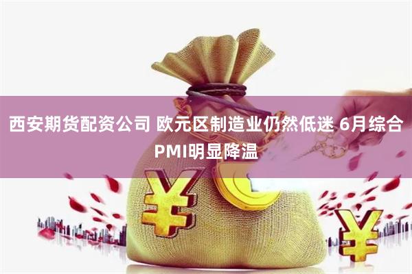 西安期货配资公司 欧元区制造业仍然低迷 6月综合PMI明显降温