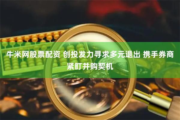 牛米网股票配资 创投发力寻求多元退出 携手券商紧盯并购契机